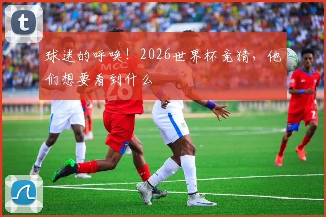 球迷的呼唤！2026世界杯竞猜，他们想要看到什么