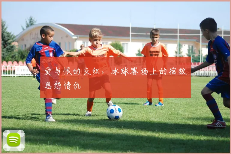 爱与恨的交织，冰球赛场上的宿敌恩怨情仇