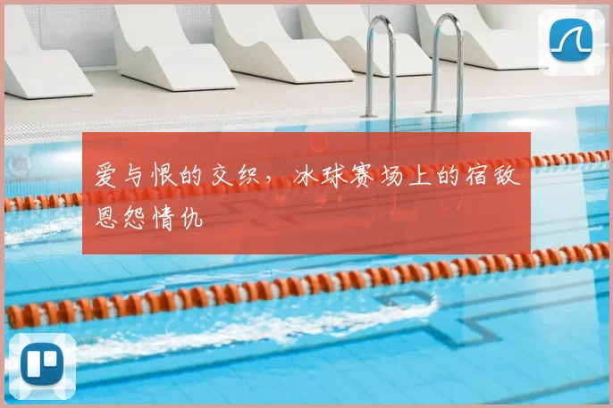 爱与恨的交织，冰球赛场上的宿敌恩怨情仇