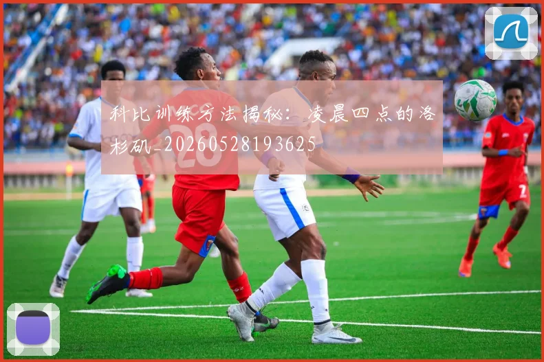 科比训练方法揭秘:凌晨四点的洛杉矶_20260528193625