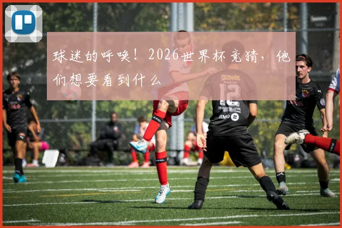球迷的呼唤！2026世界杯竞猜，他们想要看到什么