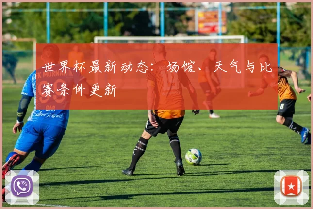 世界杯最新动态:场馆、天气与比赛条件更新