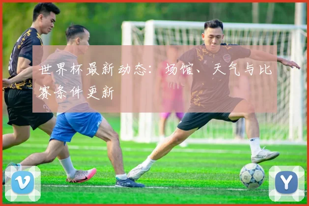 世界杯最新动态:场馆、天气与比赛条件更新
