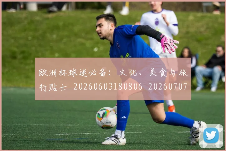 欧洲杯球迷必备：文化、美食与旅行贴士_20260603180806_20260707152434_20260801170049