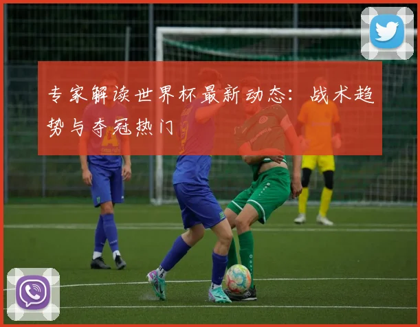 专家解读世界杯最新动态：战术趋势与夺冠热门